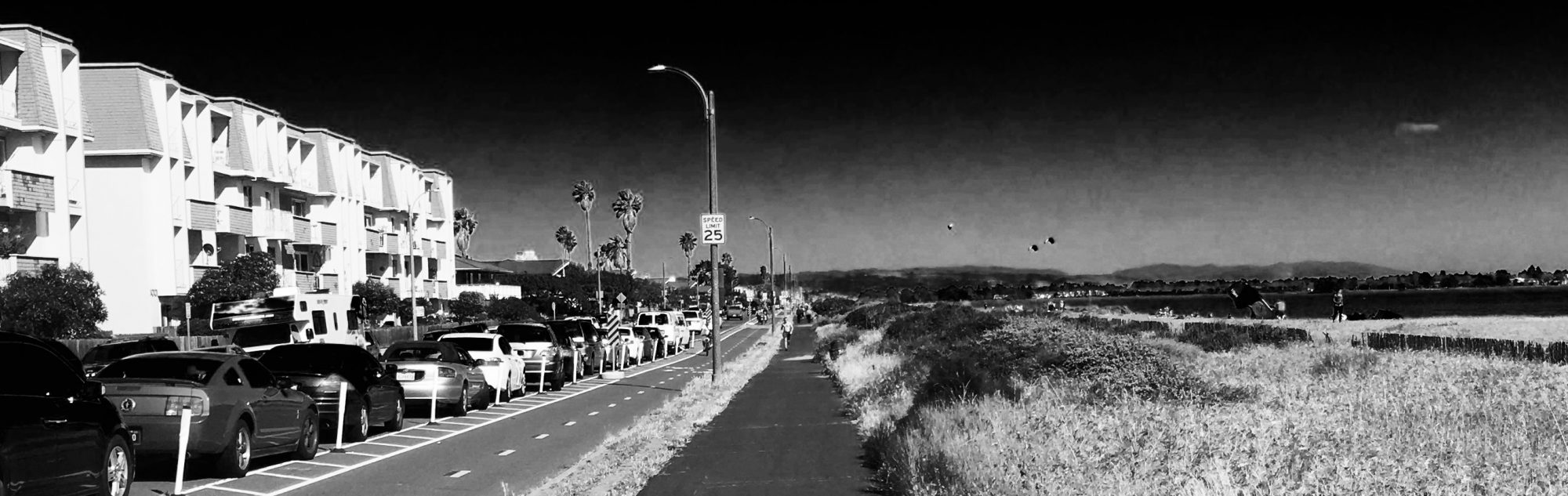 weirdartistxpanding2xtremes